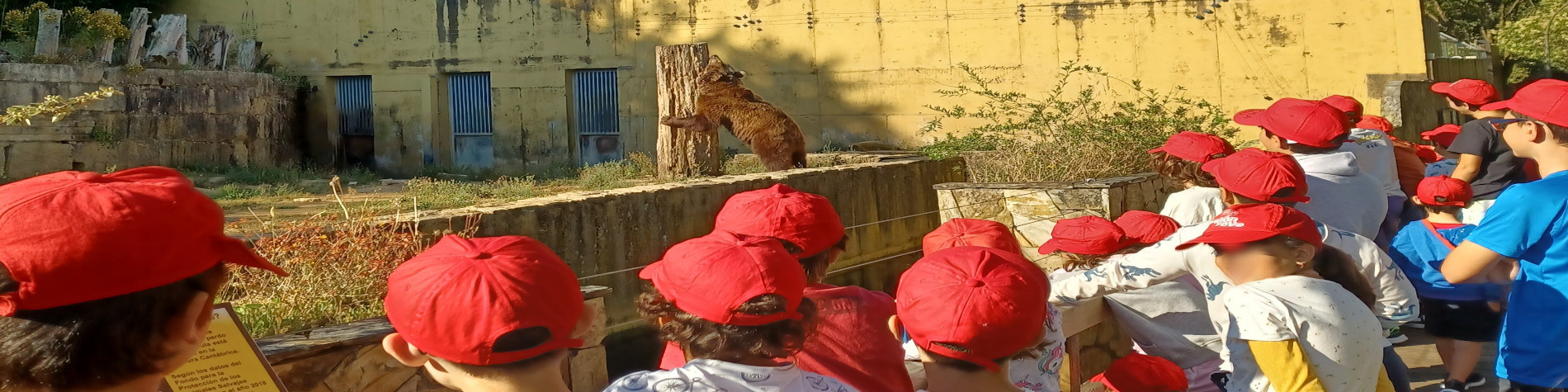 Vigozoo